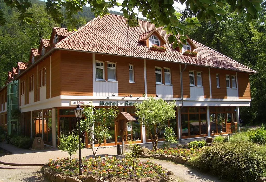 Kurpark Hotel Im Ilsetal-1