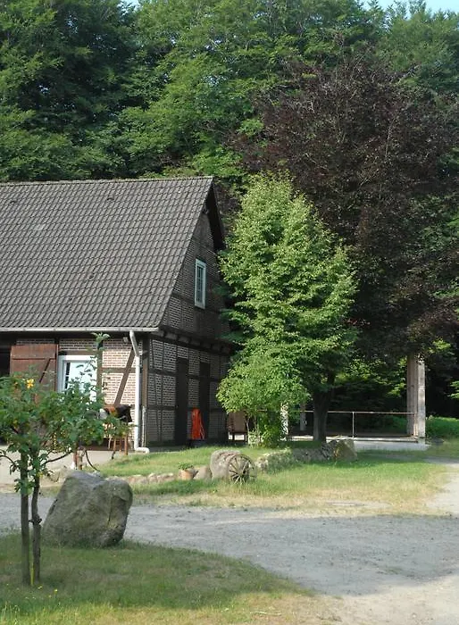 Barock Hengst Hof-1