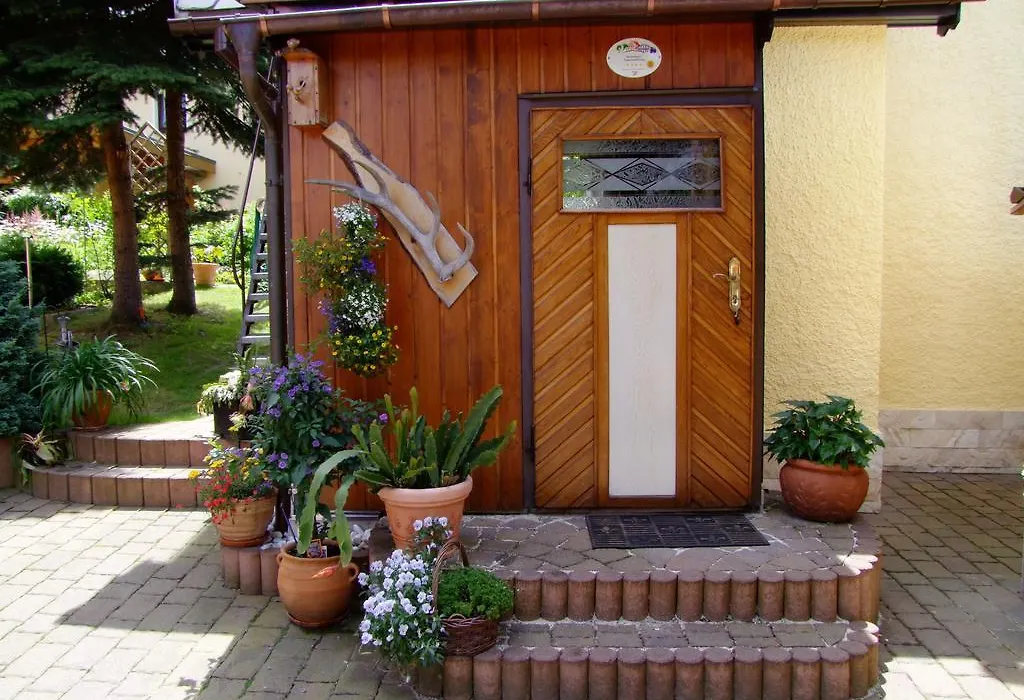 Ferienhaus Erzgebirge An der Trebe mit Kamin und Sauna-1