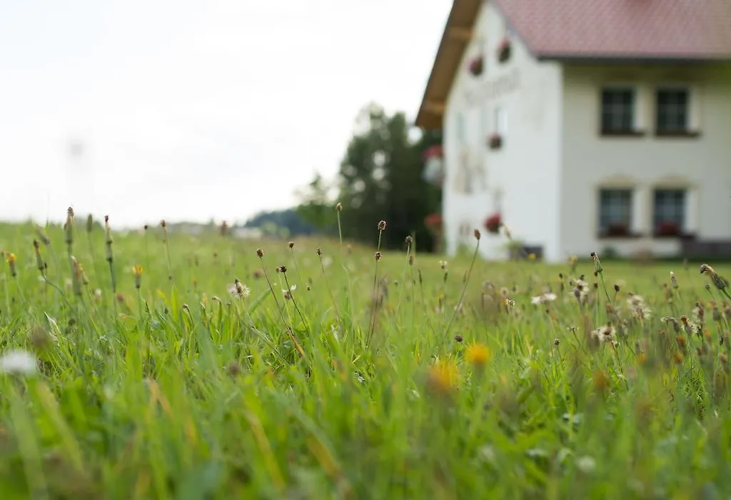 Pension Waldesruh-1