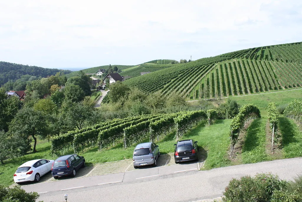 Pension am Weinberg-1