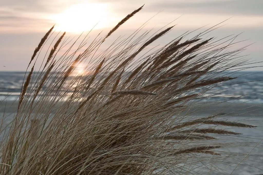 Cuxland-Ferienpark Nordseebad Dorum-1