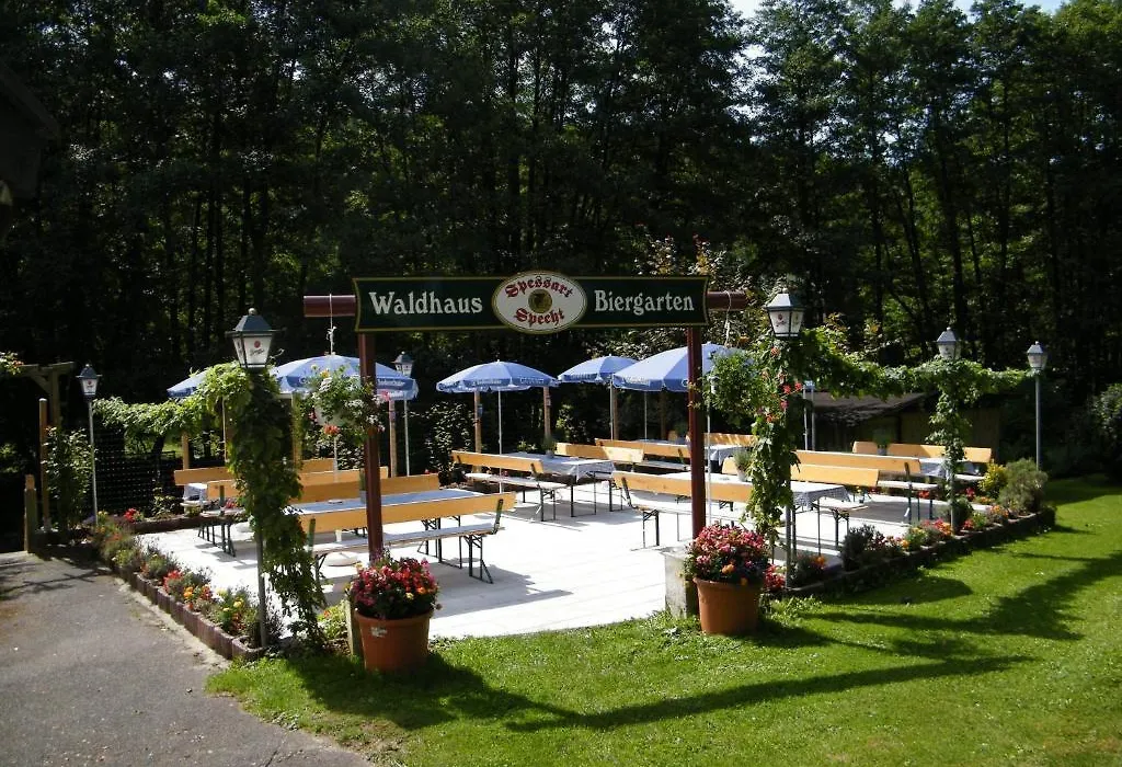 Hotel Waldhaus-1