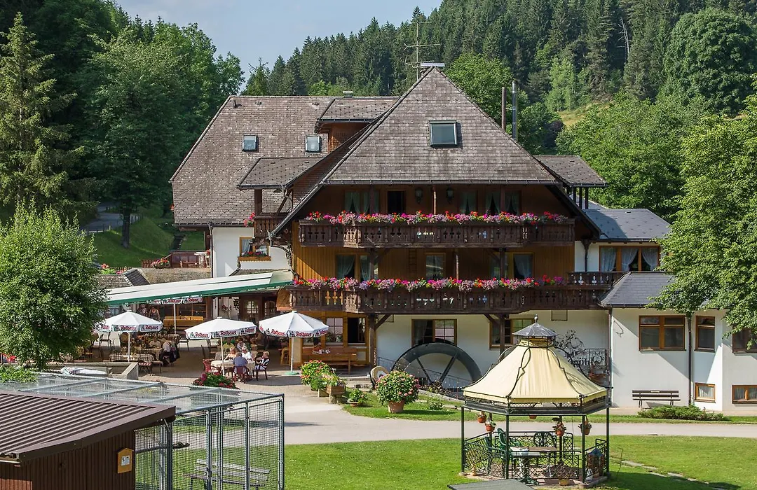 Hotel Tannenmühle-1