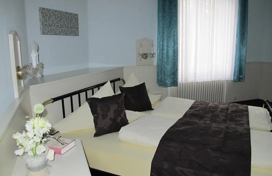 Hotel Anlage Heidelberg-1