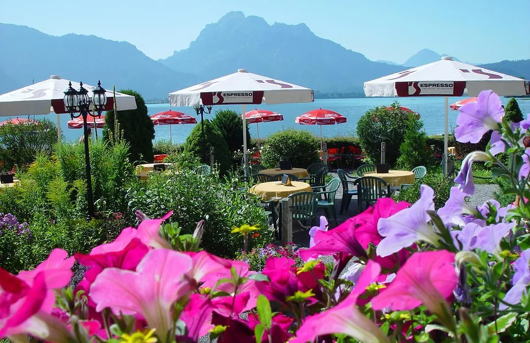 Cafe Maria - Pension - B&B-1