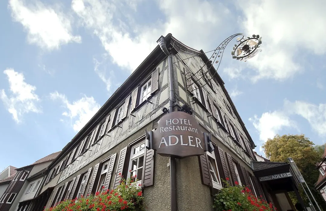 Hotel Adler-1