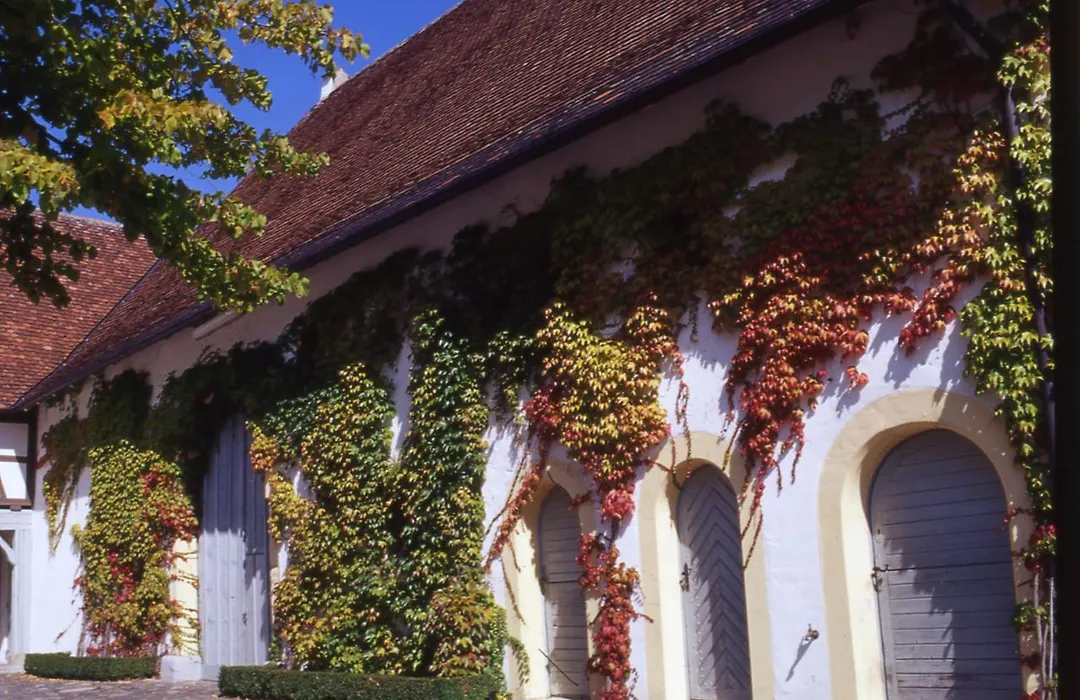 Markgräflich Badischer Gasthof Schwanen-1