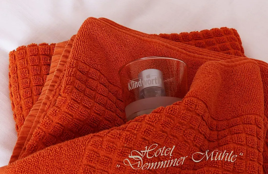 Hotel Demminer Mühle-1