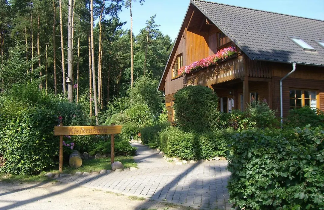 Feriensiedlung Kiefernhain-1