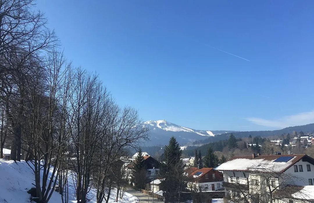 Hotel Das Waldkoenig-1