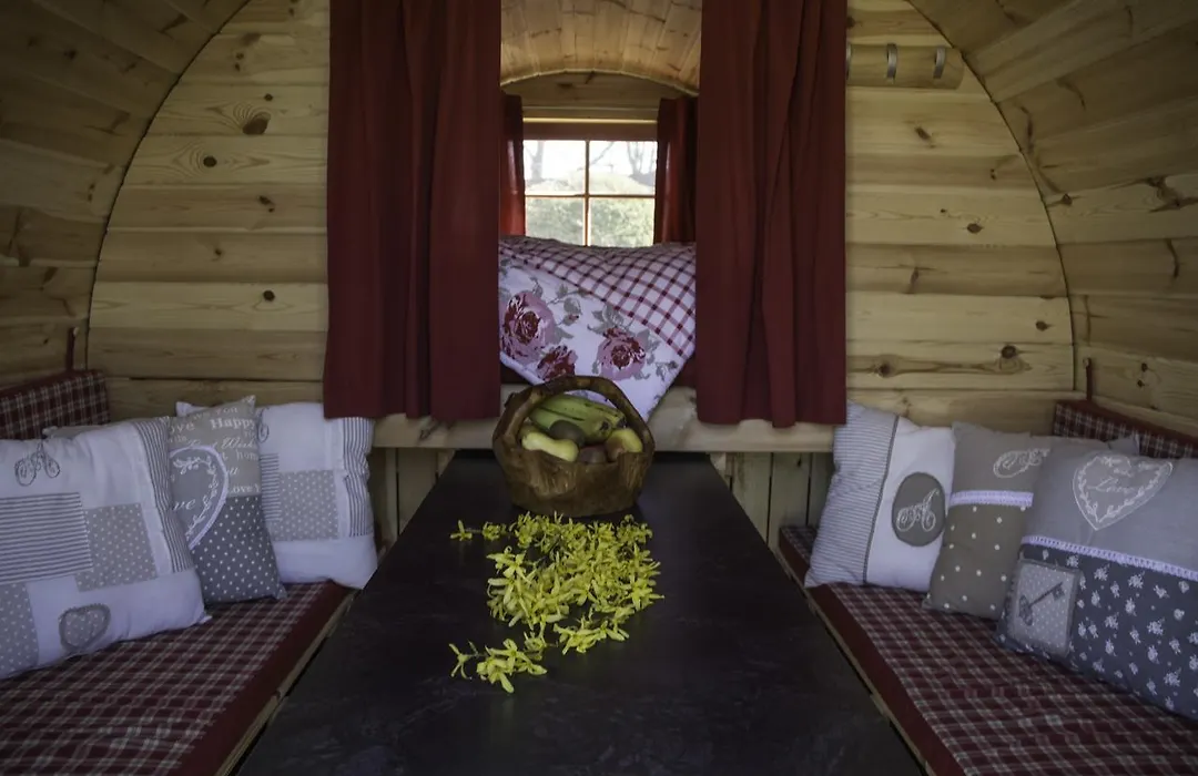 Camping-Erbenwald-1