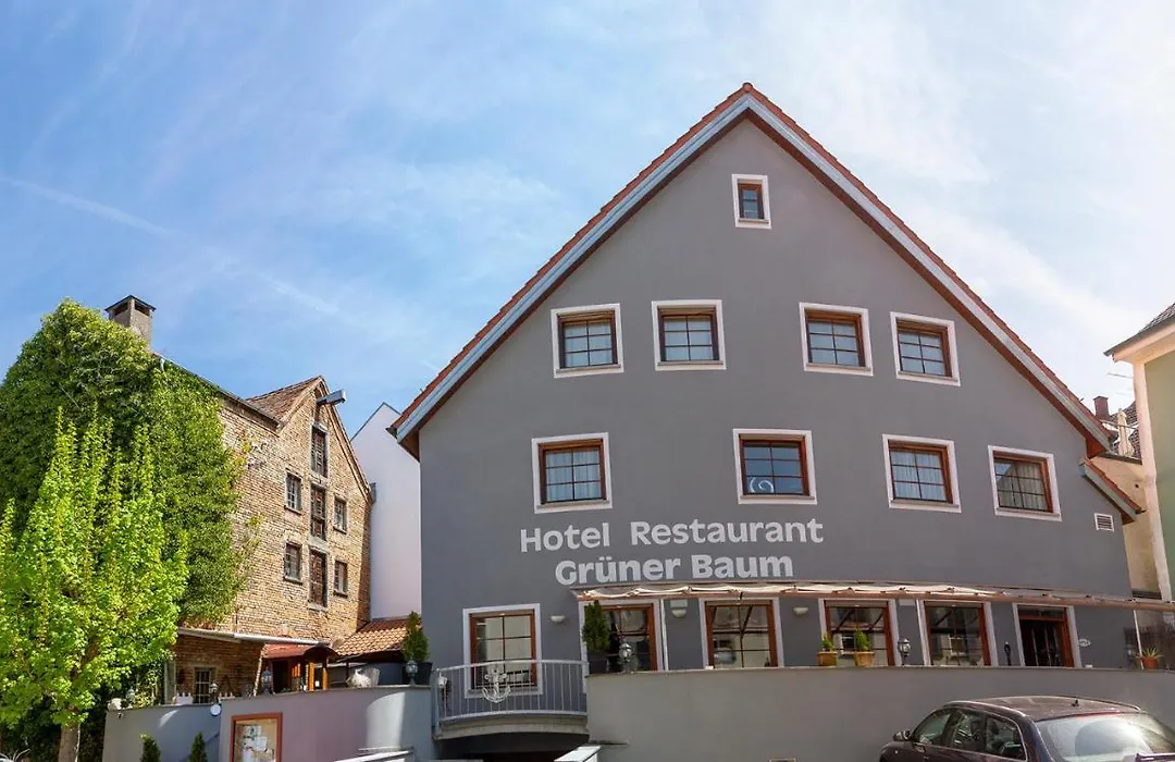 Hotel Restaurant Grüner Baum und Altes Tor-1