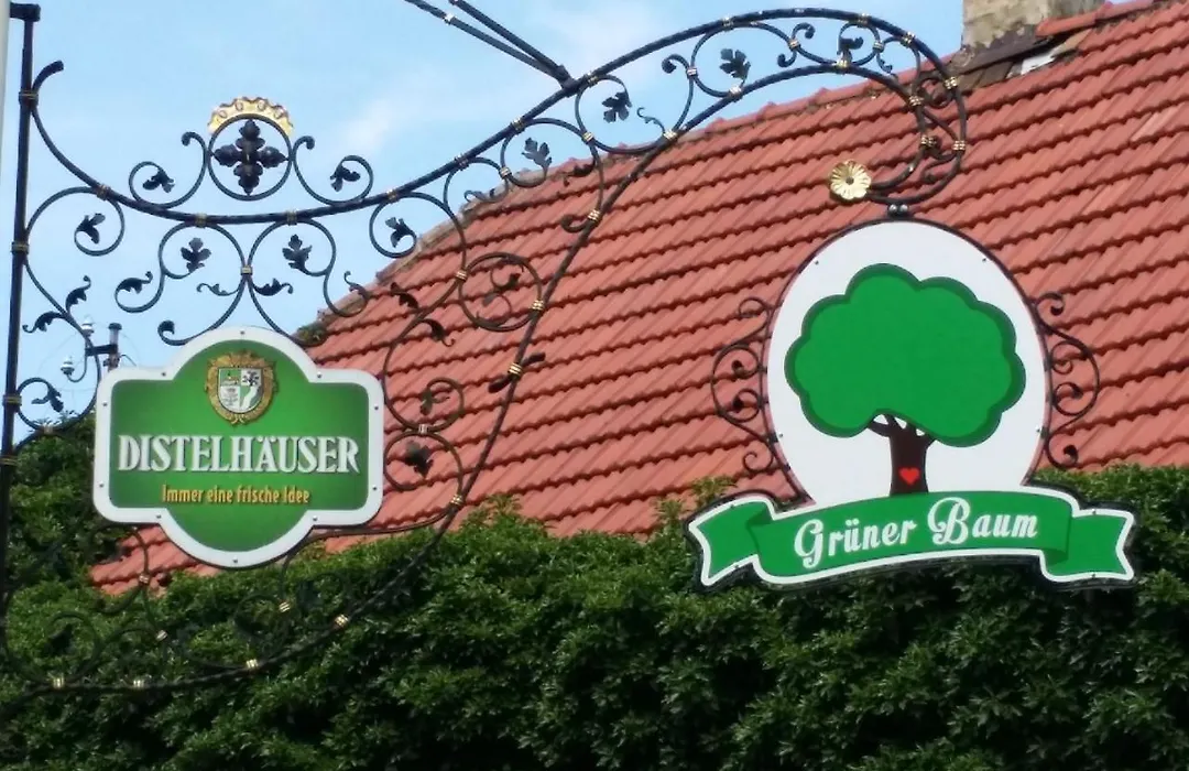 Hotel-Landgasthof Grüner Baum - Dittigheim-1