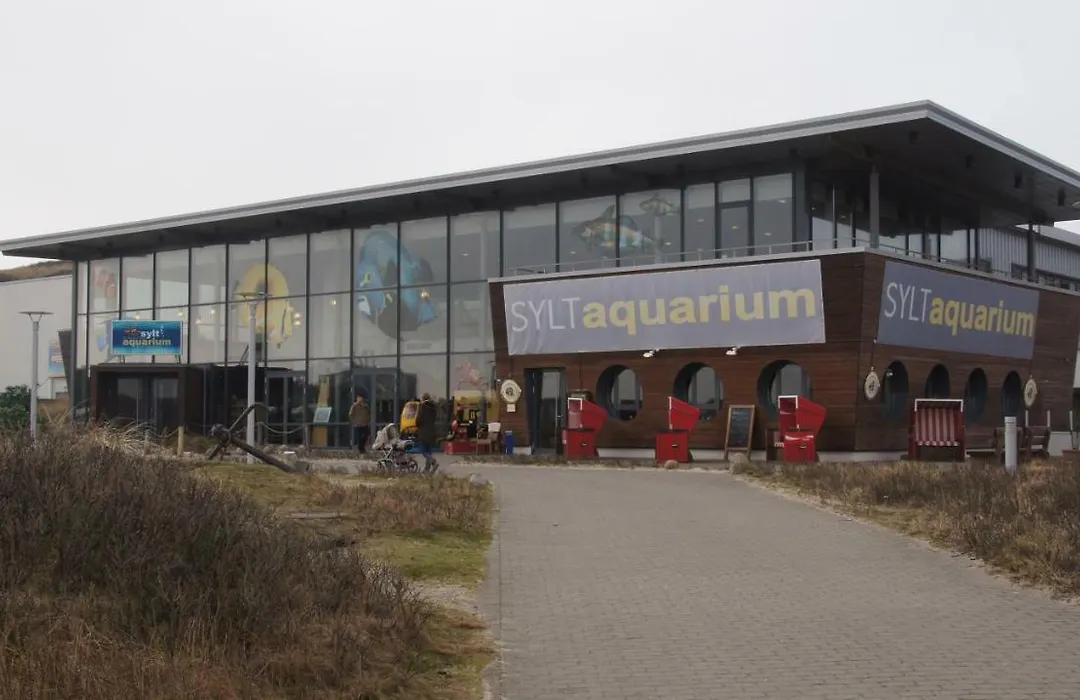 Jugendherberge Westerland-1