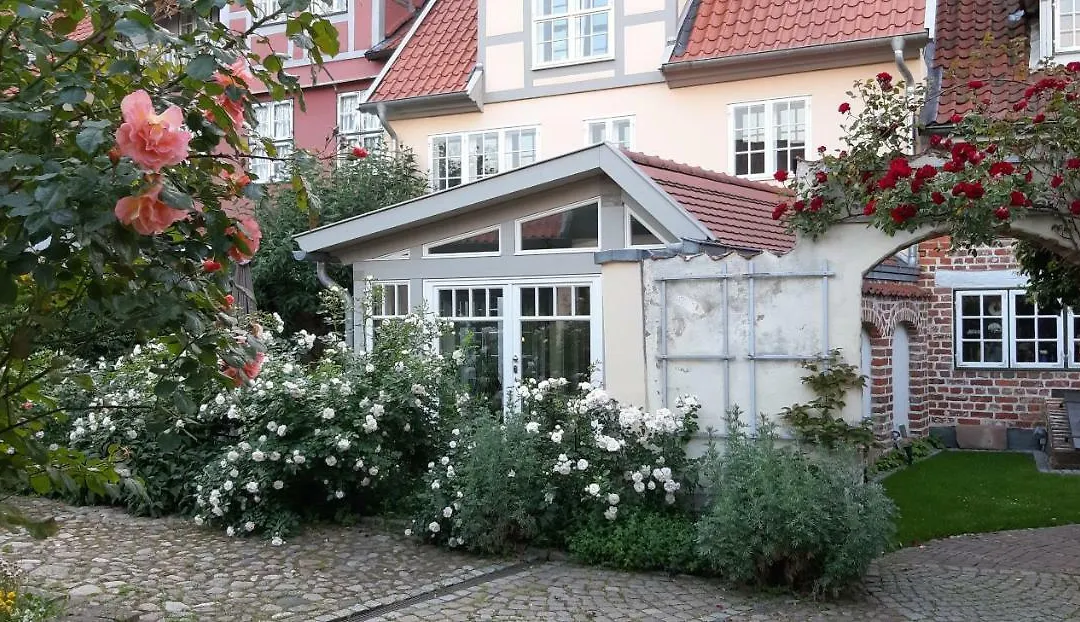 Meeresleuchten-1