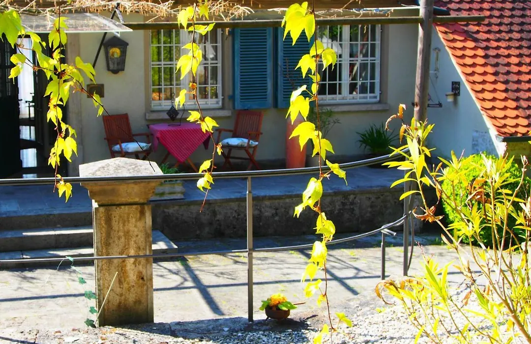 Ferienwohnung Meintzinger-1