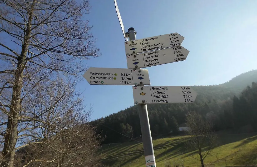 Urlaub auf dem Hänslehof-1