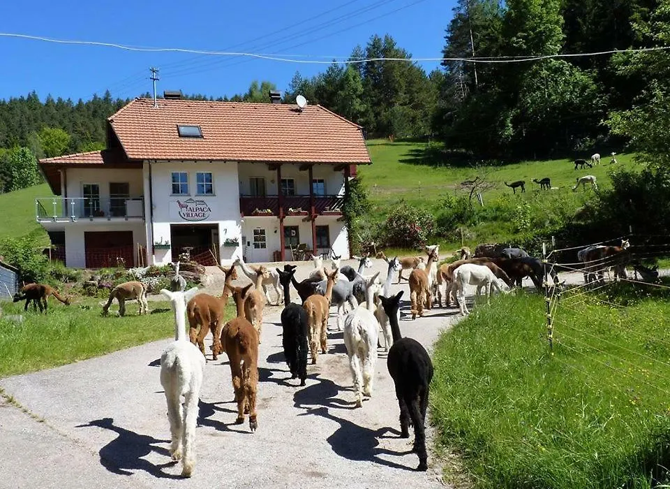 Alpaca-Village-1