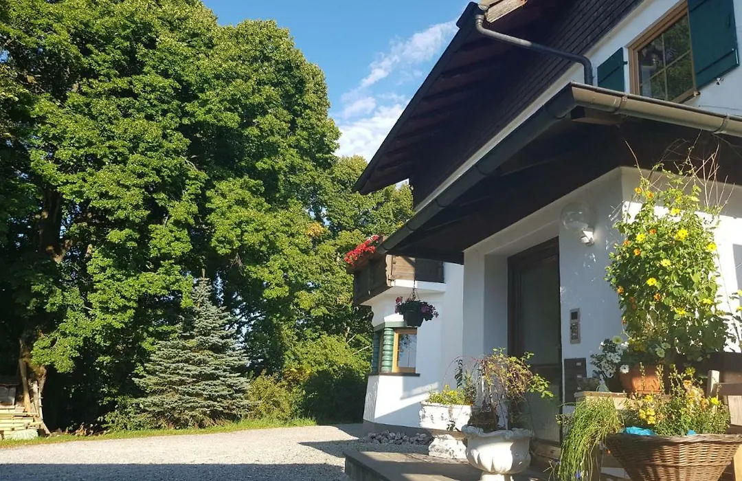 Villa im Wald-1