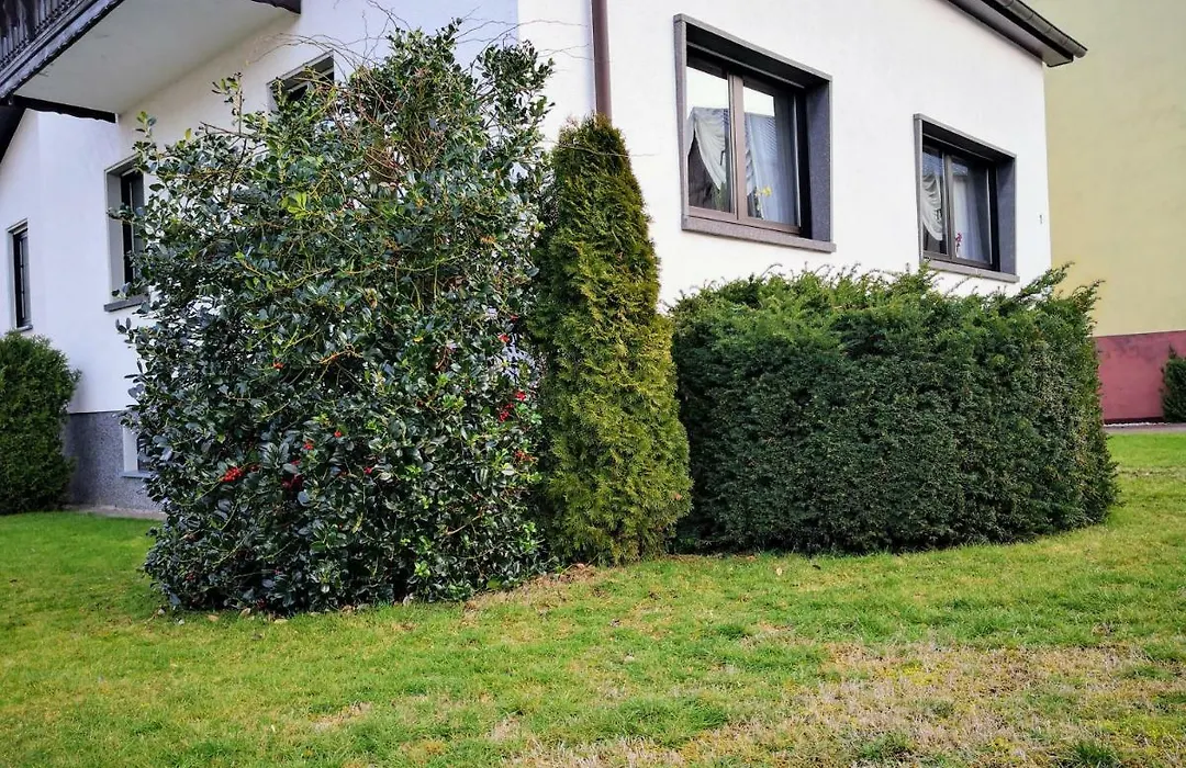 Ferienwohnung Maria Laach 2-1