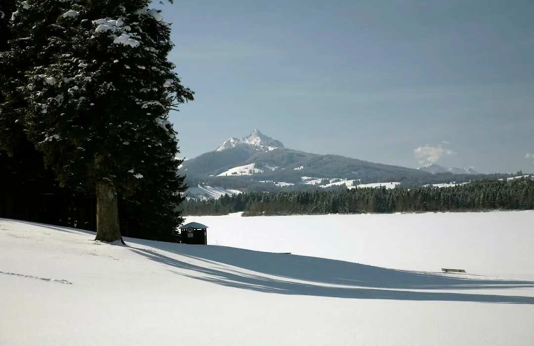 Chaletwohnung Seeblick - Sauna und Dogfriendly-1