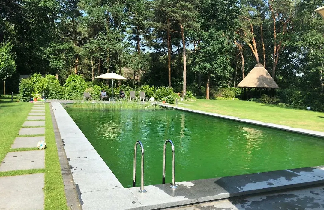 Schmeling Haus Bad Saarow-1