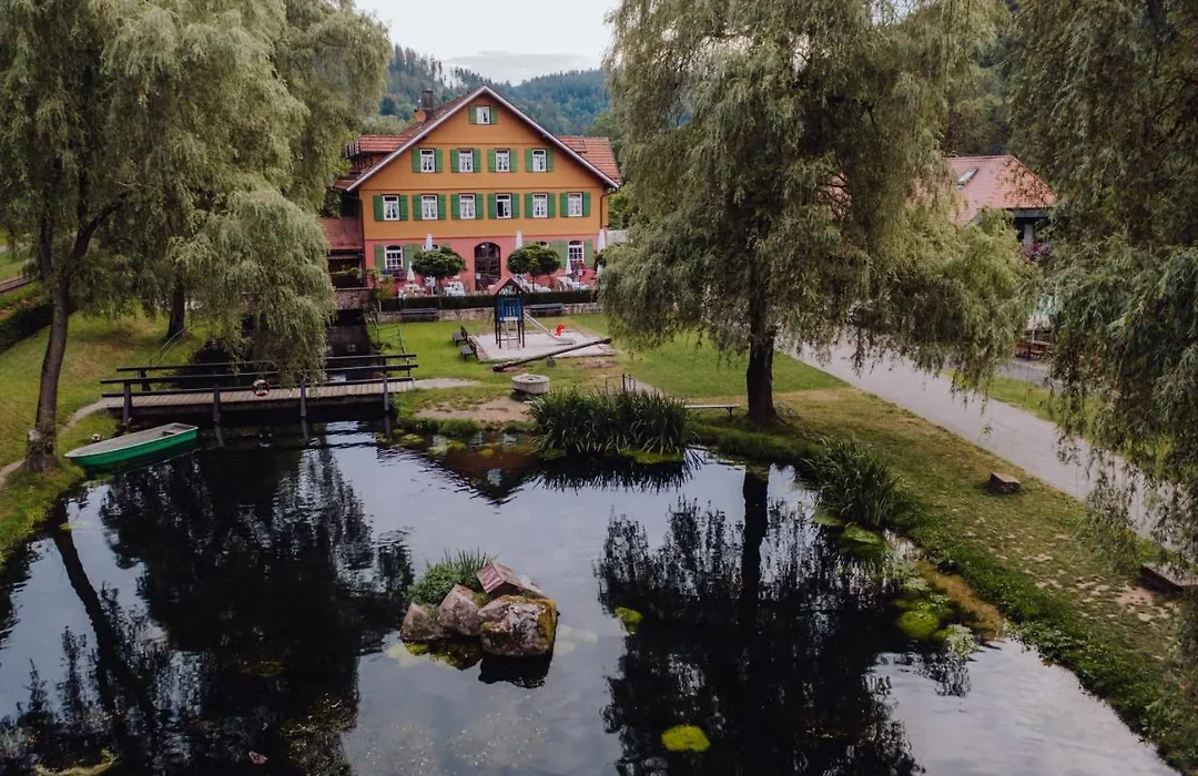 Hotel Zur alten Mühle-1