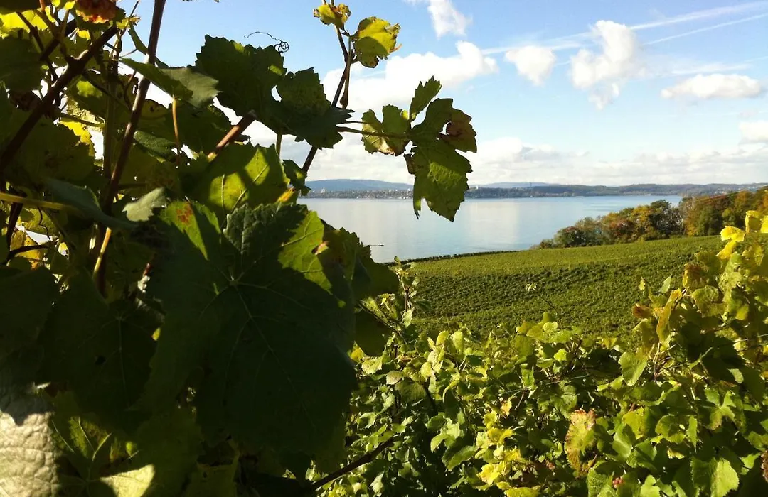 Alte Post Meersburg-1