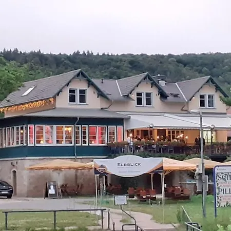 Pillnitzer Elbblick-3