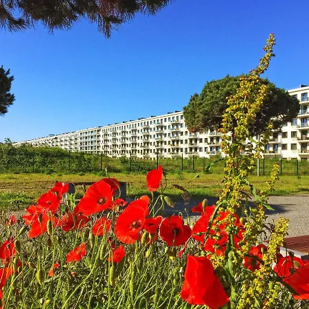 Strandresort Prora - Penthouse 504 mit Meerblick und Sauna-2