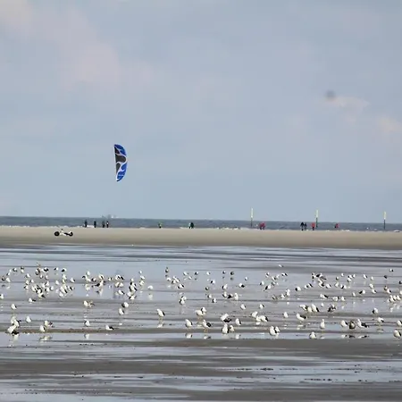 Wolke 5 - Urlaub in der Parkwohnanlage Atlantic-3