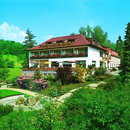 Hotel Wiesengrund-3