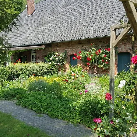 Sommerhaus Barlo-3