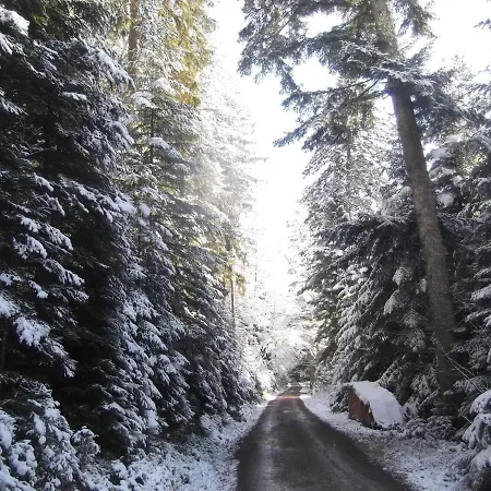 Schwarzwald-Gasthof Hirsch-3
