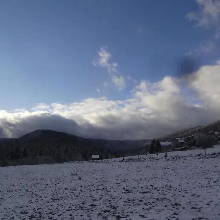 Schwarzwald-Gasthof Hirsch-2