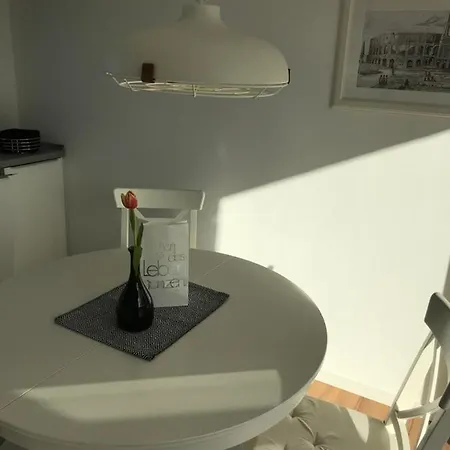 Attika Ferienwohnung in Freiburg -Gundelfingen mit großer Dachterrasse-2