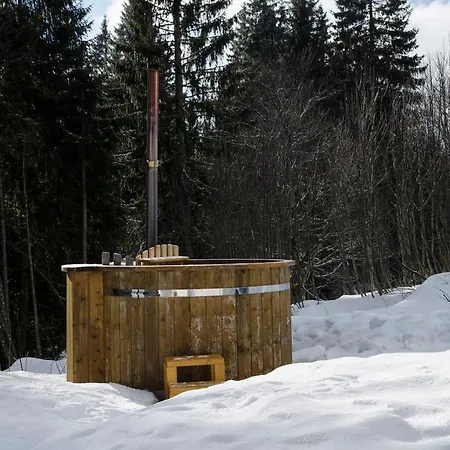Luxus-Ferienhaus Blockhaus Chalet Nr 3 Toplage am Feldberg mit Sauna, Outdoor-Hottub, Kamin auf 1300m üM-2