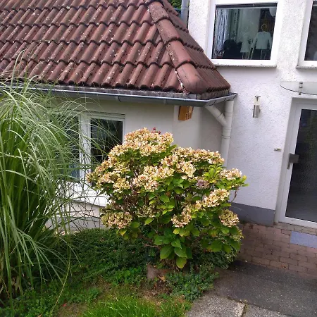 Ferienwohnung im Naturpark Rhein-Westerwald-2