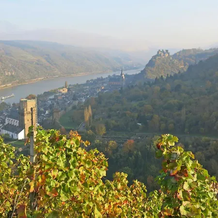 Roosartige Ferien - Ferienwohnung im Hanswieschen - Oberwesel Bacharach-3