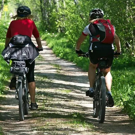 Pfötchenurlaub im Harz- Schöne Ferienwohnung für 2-4 Personen und Hund-2