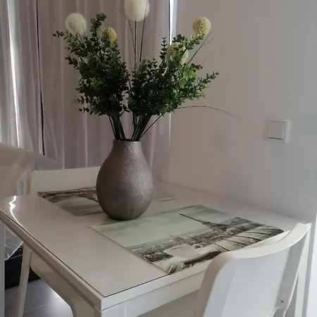 Apartment Og-2