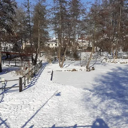 Pension Am Schloß-3