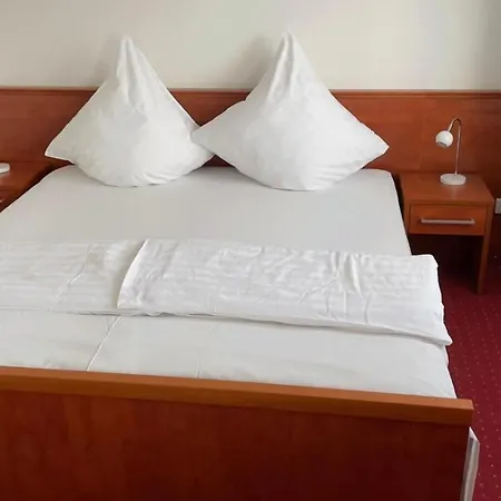 Hotel Agat Hofheim-Wallau-3