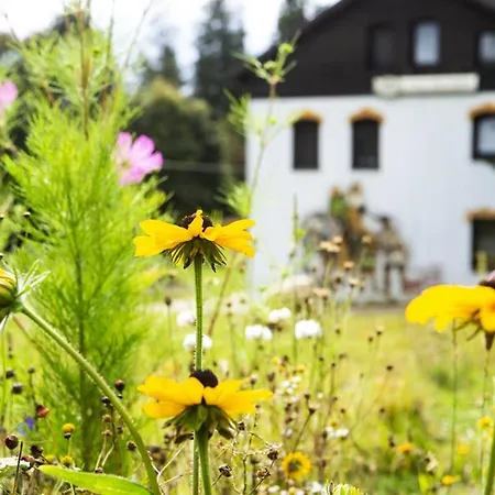 Haus Fürstenberg-2