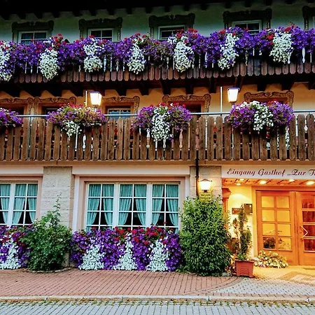 Zur Traube Schwarzwaldhotel & Restaurant Am Titisee-3