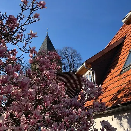 Dudenhaus Soest / Anno 1554 / Am Brauhaus Zwiebel-3