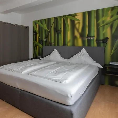 Hotel Landgasthaus Sockenbacher Hof-3