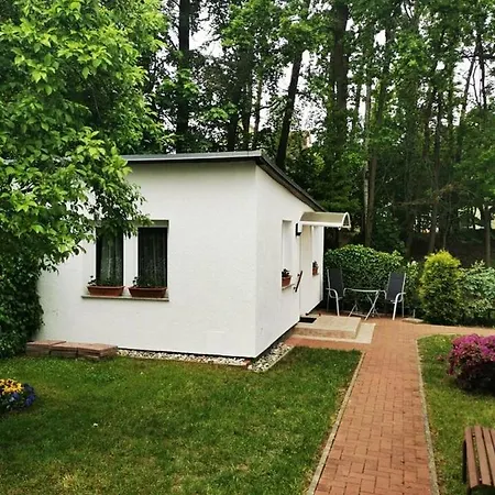 Ferienbungalow im Igelbau-3
