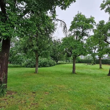 Eifelhof mit Obstbaumwiese-3